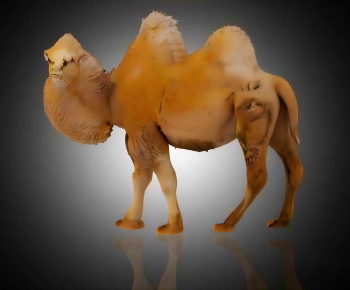 Modern Mammal-ID:777339912