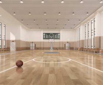 Modern Basketball Arena-ID:917428971