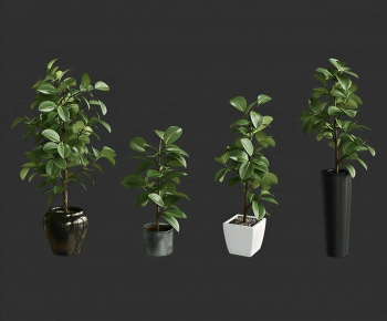 Modern Ground Green Plant Potted Plants-ID:810563093