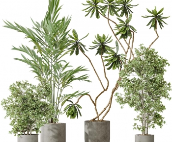 Modern Ground Green Plant Potted Plants-ID:979223016