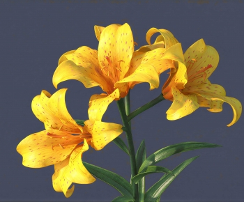 Modern Flowers And Grass-ID:286183123