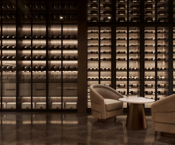 Modern Wine Cellar/Wine Tasting Room-ID:334875119