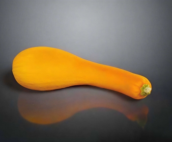 Modern Vegetables-ID:981503966