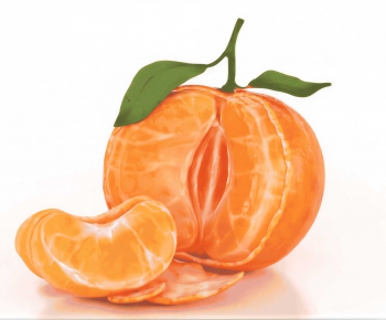 Modern Fruit-ID:627789598