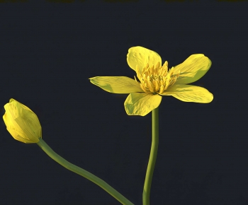 Modern Flowers And Grass-ID:742702962