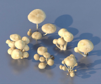 Modern Vegetables-ID:230915074