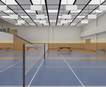 Modern Indoor Stadium-ID:275316958
