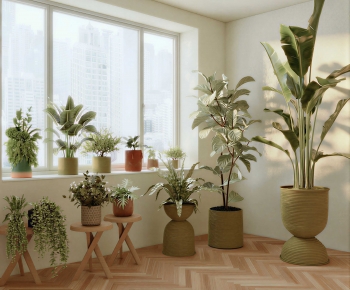 Modern Ground Green Plant Potted Plants-ID:531883005