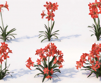 Modern Flowers And Grass-ID:795420896