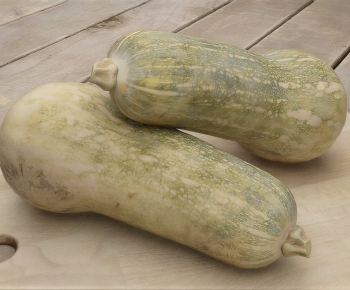 Modern Vegetables-ID:830035928