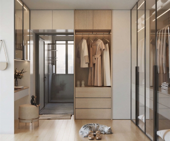 Modern Clothes Storage Area-ID:238934998