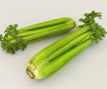 Modern Vegetables-ID:107069073