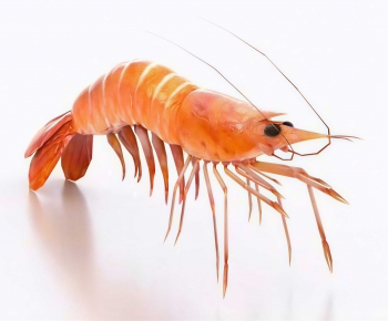 Modern Aquatic Product-ID:786480907