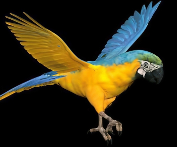 Modern Flying Animals-ID:548706053