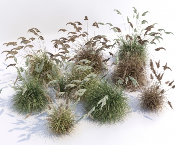 Modern The Grass-ID:814755929