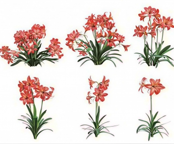 Modern Flowers And Grass-ID:700227989
