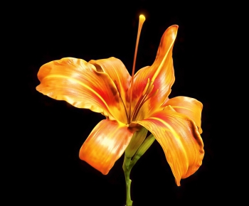 Modern Flowers And Grass-ID:591518959