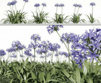 Modern Flowers And Grass-ID:535038958