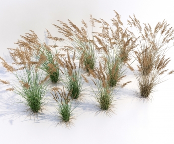 Modern The Grass-ID:954510934