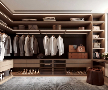 Modern Clothes Storage Area-ID:998421917