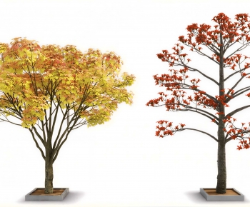 Modern Tree-ID:899430992