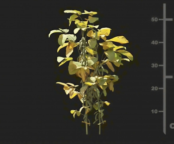 Modern Crop-ID:896754038