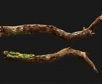Modern Tree-ID:316169984