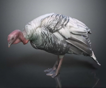 Modern Flying Animals-ID:270020966