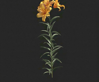 Modern Flowers And Grass-ID:639455087
