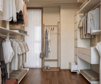 Modern Clothes Storage Area-ID:361840966