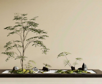 Modern Plant Landscaping-ID:309555052