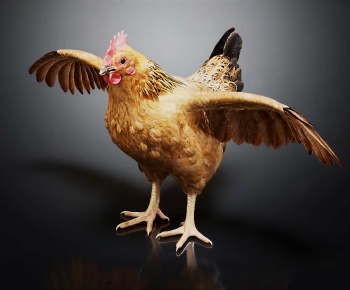 Modern Poultry Animal-ID:273135904
