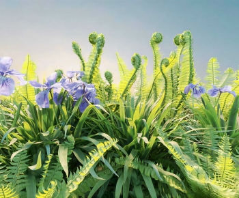 Modern Shrubbery-ID:202277908