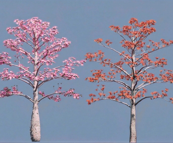 Modern Tree-ID:277810124