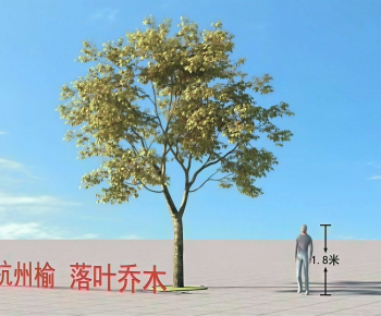 Modern Tree-ID:205255037