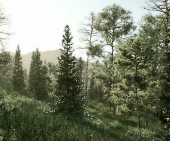 Modern Landscape-ID:440270997