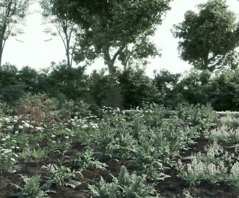 Modern Crop-ID:286741029