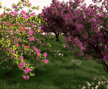 Modern Tree-ID:275274999