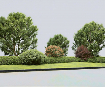 Modern Plant Landscaping-ID:147022014