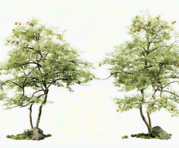 Modern Tree-ID:161753894