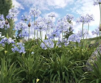 Modern Flowers And Grass-ID:555930166