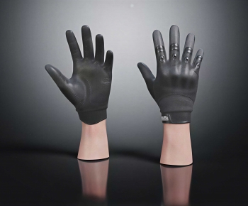 Modern Clothes, Bags And Shoes-ID:556530009