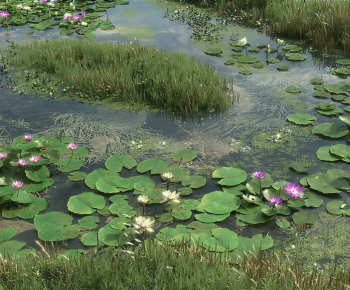 Modern Rockery Waterscape-ID:902932885