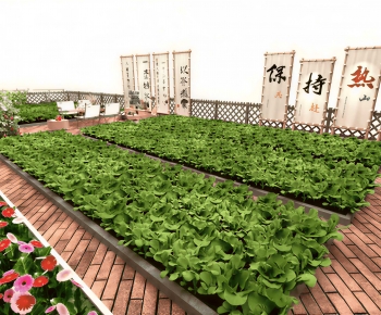 Modern Crop-ID:734875929