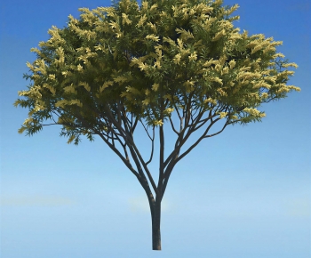 Modern Tree-ID:799961096