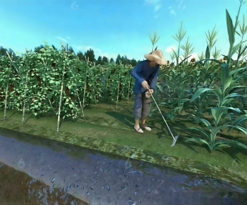Modern Crop-ID:719450005
