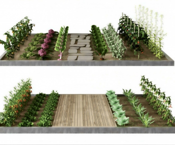 Modern Crop-ID:989698896