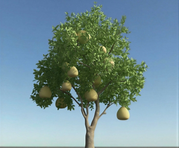 Modern Tree-ID:599133978
