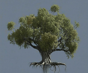 Modern Tree-ID:392095091