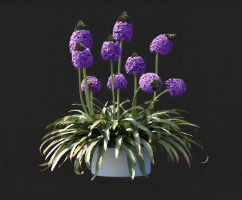 Modern Flowers And Grass-ID:941518074